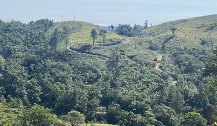 Terreno com 35 hectares em Campina Grande do Sul PR