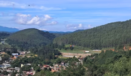 Chácara 10.000m² (1 hectare ) em Campina Grande so Sul PR