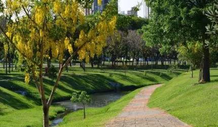 TERRENO A VENDA NO BAIRRO JARDIM REGINA NA CIDADE DE INDAIATUBA SP
