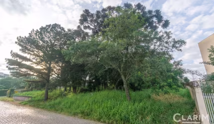 Terreno à venda na Rua Vereador João Augusto de Almeida Barbosa, Vila Otto, Campo Largo por R$ 550.000