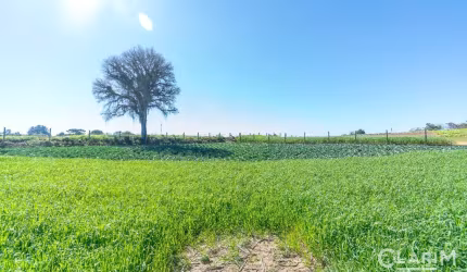 Terreno à venda na Rua José de Paiva Vidal, 2227, Vila Santa Terezinha, Campo Largo por R$ 520.000