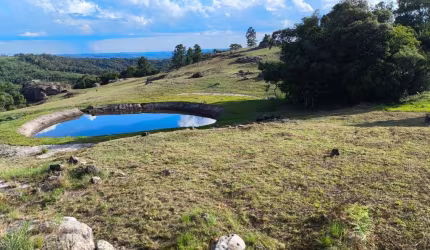 Chácara / sítio à venda na Casemiro Stoco, 1, Centro, Balsa Nova por R$ 890.000