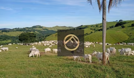 Fazenda à venda, 2928200 m² - Guampará - Marquinho/PR