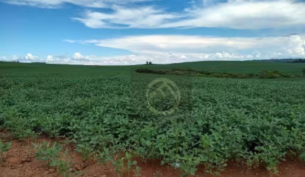 Fazenda à venda, 2250600 m² por R$ 11.000.000,00 - Centro - Guarapuava/PR