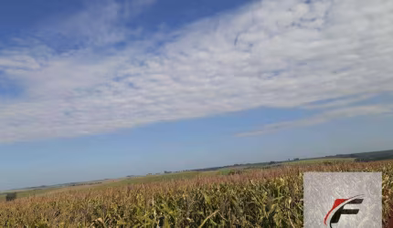 Fazenda à venda, 2460000 m² - Centro - Corbelia/PR