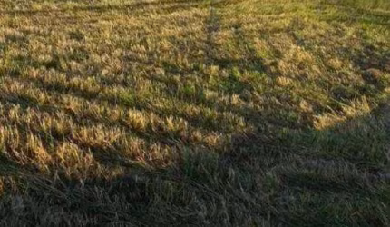 Fazenda à venda, 2758800 m² por R$ 30.000.000,00 - Jardim Vitória - Turvo/PR