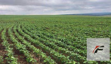 Área à venda, 1234200 m² - Miringuava - São José dos Pinhais/PR