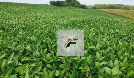 Chácara com 3 dormitórios à venda, 111000 m² por R$ 980.000,00 - Zona Rural - Lapa/PR