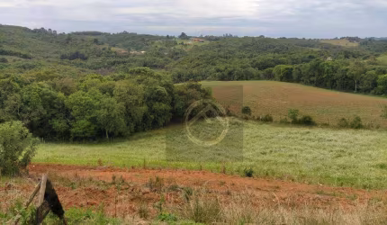 Chácara com 4 dormitórios à venda, 38000 m² por R$ 1.500.000,00 - Roça Velha - São José dos Pinhais/PR