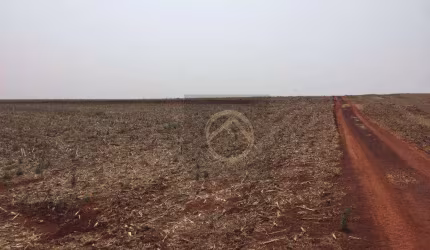 Fazenda à venda, 9825200 m² por R$ 49.000.000,00 - Centro - Tamarana/PR