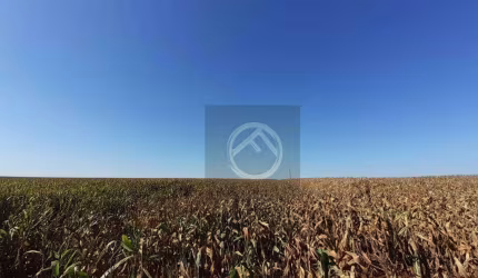 Fazenda à venda, 10962600 m² - Centro - Francisco Alves/PR
