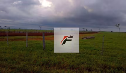 Fazenda à venda, 49000000 m² por R$ 209.000.000,00 - Centro - Paranavaí/PR