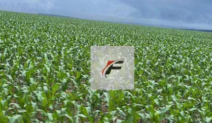 Fazenda à venda, 3218600 m² por R$ 24.800.000,00 - Zona Rural - Guarapuava/PR
