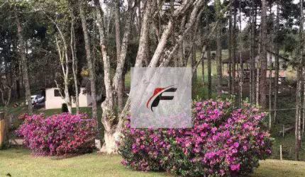 Chácara com 4 dormitórios à venda, 145200 m² por R$ 1.300.000 - Palmitalzinho - Quatro Barras/PR