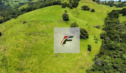 Sítio com 3 dormitórios à venda, 411400 m² por R$ 2.040.000,00 - Zona Rural - Palmital/PR