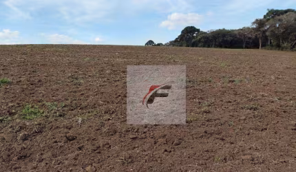 Fazenda à venda, 695266 m² por R$ 3.200.000,00 - Zona Rural - Quitandinha/PR
