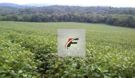 Chácara com 3 dormitórios à venda, 242000 m² por R$ 1.200.000,00 - Centro - Lapa/PR
