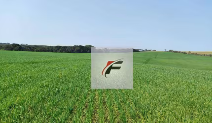 Fazenda com 3 dormitórios à venda, 847000 m² por R$ 12.000.000 - Centro - Lapa/PR