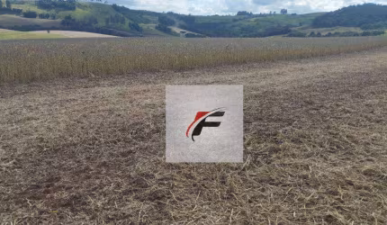 Fazenda à venda, 3775200 m² por R$ 48.929.400,00 - Centro - Pitanga/PR