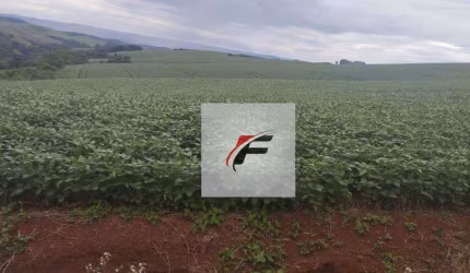 Fazenda com 3 dormitórios à venda, 871200 m² por R$ 11.263.500,00 - Centro - Guarapuava/PR
