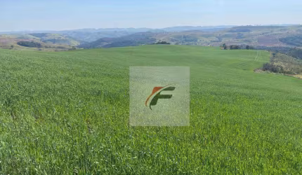 Fazenda à venda, 3678400 m² por R$ 39.600.000 - Zona Rural - Palmital/PR