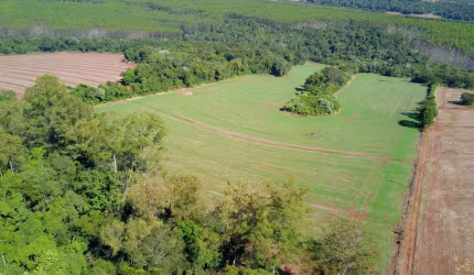 Sítio para Venda, 10 Alqueires em Paiquere, Londrina, PR
