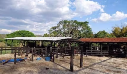 Fazenda Próximo Uberaba/Uberlândia - 218 HA (OPORTUNIDADE)