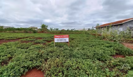 Terreno Residencial para Venda em Assis Chateaubriand, Centro