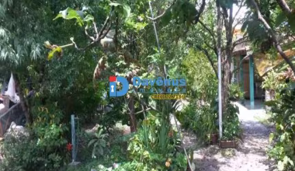 TERRENÃO PRÓXIMO DA MARGINAL TIETÊ  - B DO LIMÃO