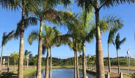 Terreno em Condomínio para Venda em Araquari, Itinga