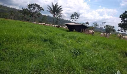 Fazenda para Venda em Juara, Paranorte