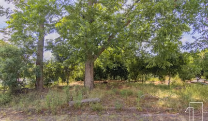 Terreno à venda na Rua João de Barro, Arroio da Manteiga, São Leopoldo por R$ 600.000