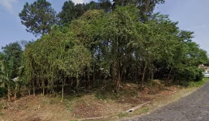 Terreno à venda na Rua Alberto Adolpho Fruchtenicht, Campestre, São Leopoldo por R$ 206.000