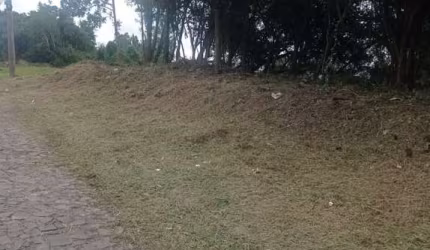 Terreno à venda na Rua Alberto Adolpho Fruchtenicht, Campestre, São Leopoldo por R$ 483.000