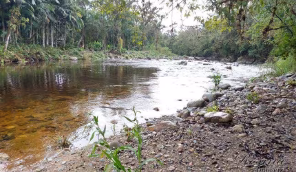 Terreno à venda na ENDEREÇO NÃO INFORMADO, Marumbi, Morretes, 20636 m2 por R$ 99.900