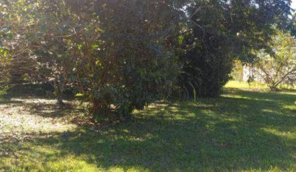 Terreno à venda na ENDEREÇO NÃO INFORMADO, Centro, Morretes, 1045 m2 por R$ 200.000