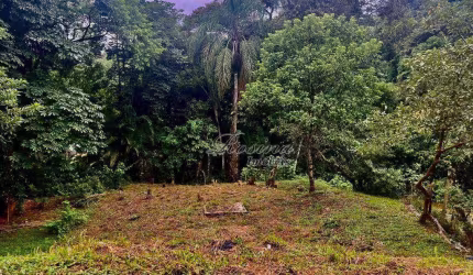 Terreno à venda na ENDEREÇO NÃO INFORMADO, Jardim Maria Luiza, Antonina, 624 m2 por R$ 39.000
