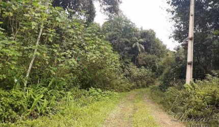 Terreno à venda na ENDEREÇO NÃO INFORMADO, Nucleo do Rio Pinto, Morretes, 150480 m2 por R$ 440.000