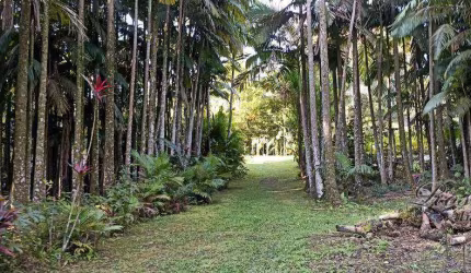 Chácara / sítio com 3 quartos à venda na ENDEREÇO NÃO INFORMADO, Passa Sete, Morretes, 86000 m2 por R$ 400.000
