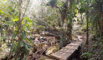 Terreno à venda na ENDEREÇO NÃO INFORMADO, Rio Sagrado, Morretes, 500 m2 por R$ 59.900