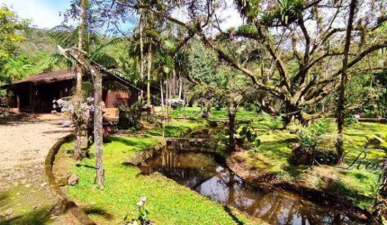 Chácara / sítio com 3 quartos à venda na ENDEREÇO NÃO INFORMADO, São João da Graciosa, Morretes, 12000 m2 por R$ 1.300.000