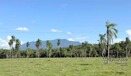 Terreno à venda na ENDEREÇO NÃO INFORMADO, Barreiros, Morretes, 3273 m2 por R$ 190.000