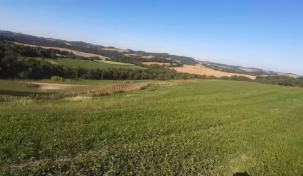 LINDO SITIO 5 ALQUERES E MEIO, 133 MIL M², A 4 KM DA RODOVIA DO XISTO, MARIENTAL CONTENDA COM CASA 120M², A 210 MIL POR ALQUEIRES FN 99864-4995