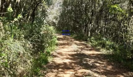ÁREA DE 20.MIL M² ESCRITURADA E REGISTRADA, SÓ 179 MIL, DÁ FINANCIAMENTO. PROX ALSFALTO, ANTES DE MARIENTAL, FN 041 99864-4995