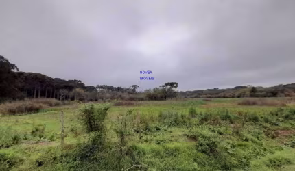 AREA DE 116.957M², A 26,00 POR M², RESIDENCIAL, BAIRRO CAMPINA DA BARRA, ARAUCARIA ESTUDA PROPOSTA. FN 041 99864-4995 GOVEA