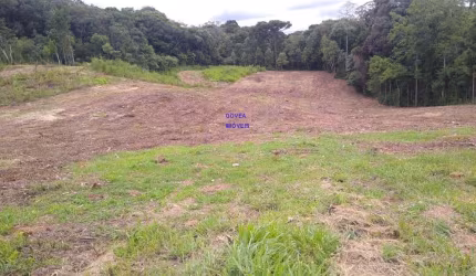 TERRENO 5.000 M² FRENTE PARA ÁREA URBANA, ICA A 500 MT DA RODOVIA DO XISTO ESCRITURA E REGISTRO, MATRICULA, INCRA, CAR, COMO RURAL, MAS DENTRO DO PERI