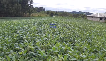 CHÁCARA 20 MIL M², ESCRITURADA E REGISTRADA * FICA A UM KM DA RODOVIA DO XISTO, NA DIVISA DE MARIENTAL COM CONTENDA