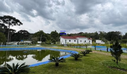 CHÁCARA 3/7 ALQUEIRES, ALTO PRODUTIVA, LAZER, CONFORTO E TRANQUILIDADE COM 1.500M² ESTUFA MORANGO, CASA ALVENÁRIA, PISCINA, TANQUES PEIXE PRODUZINDO,