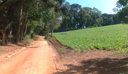 CHÁCARA 12 MIL M² CONTENDA DOCUMENTOS OK. ESCRITURA E REGISTRO, PLANTIO LAVOURA  FRENTE PARA ESTRADA STRUGAYA * CASINHA SIMPLES,   LUZ 220W