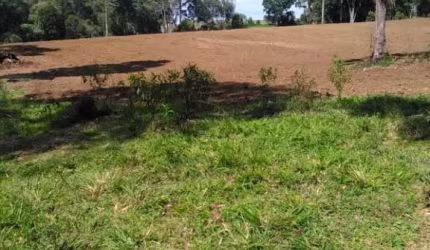 CHÁCARA DE 3 ALQUEIRES E 5 LITROS, COM CASA, 75.911M² LAPA, DOCUMENTADA POR 460 MIL FN 99864-4995